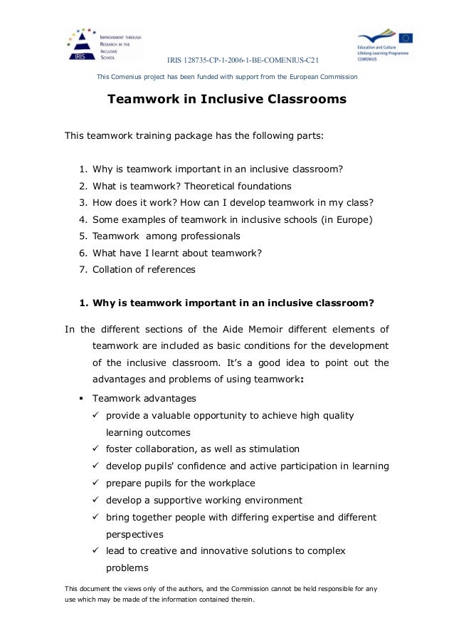Effective Classroom Teamwork: Support or Intrusion?